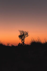 Silhouette trees on field against clear sky at sunset