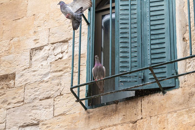 Low angle view of woman against building