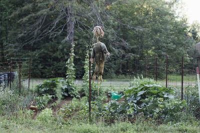 Rear view of person amidst plants in forest