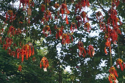 Low angle view of flowering plants and trees during autumn