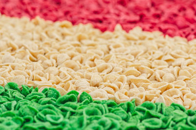 Fresh green, white and red orecchiette or orecchietta pasta drying under the sun on a wooden board