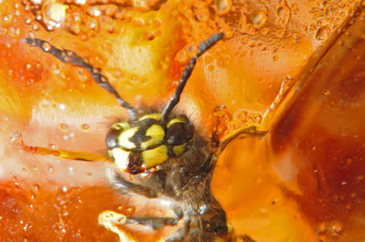 Full frame shot of water