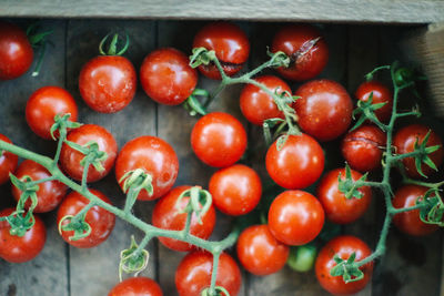 High angle view of cherries