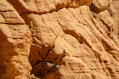 Low angle view of rock formation in desert