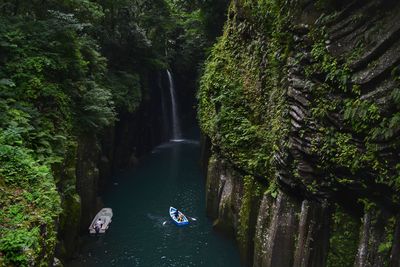 Scenic view of waterfall in forest