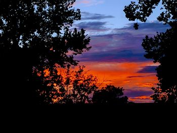 Low angle view of silhouette trees against sky during sunset