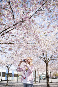 Girl taking picture of cherry blossoms, stockholm, sweden
