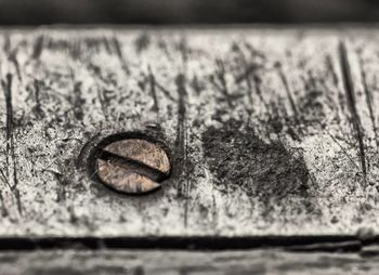 Close-up of wooden plank