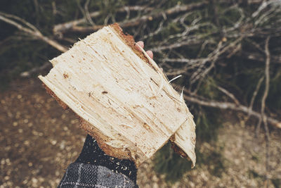 Low section of person standing by plants
