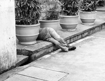 Woman potted plants