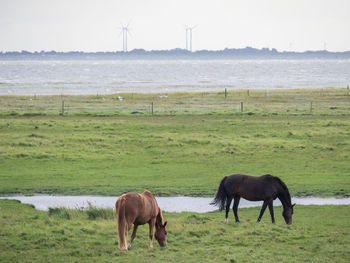 At the island of spiekeroog