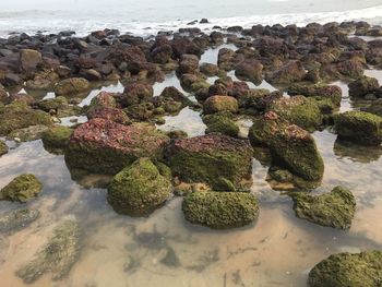 High angle view of pebbles on beach