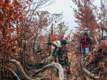 Rear view of people in forest during autumn