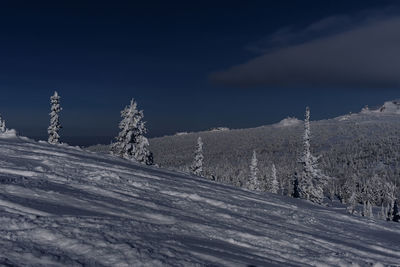 Sunny winter morning in the mountains of sheregesh on the ski track