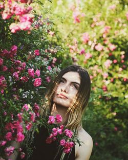 Beautiful woman by pink flowering plants