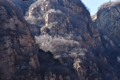 Close-up of snow covered mountain