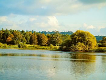 Scenic view of lake by trees against sky