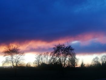 Silhouette bare trees on field against sky at sunset