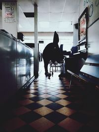 Dog standing in corridor