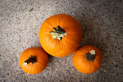 High angle view of pumpkins