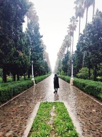 Rear view of woman walking on footpath amidst trees