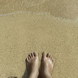 Low section of person standing on sand at beach