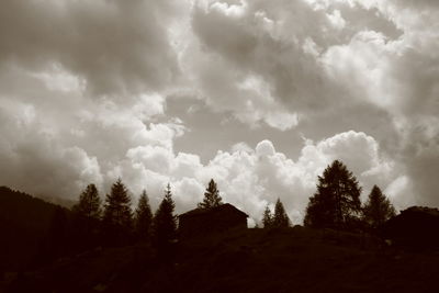 Silhouette trees in forest against sky