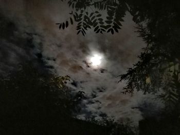 Low angle view of silhouette trees against cloudy sky