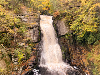 Scenic view of waterfall in forest. bushkill falls, pennsylvania 