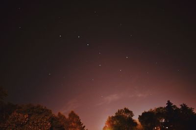 Low angle view of silhouette trees against sky at night