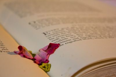 Close-up of text on book