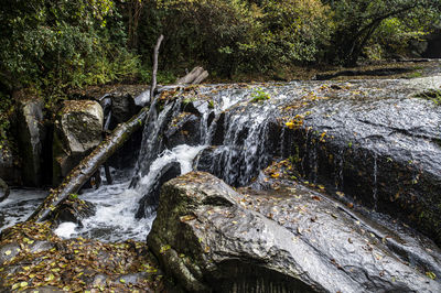 Stream flowing through rocks in forest