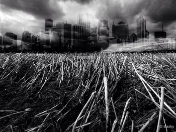 View of field against cloudy sky