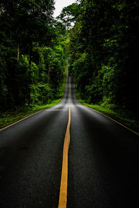 Empty road in forest