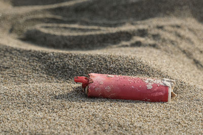 Close-up of a dog on the beach