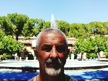 Man in swimming pool against trees