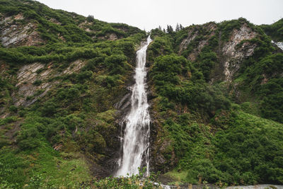 Scenic view of waterfall in forest