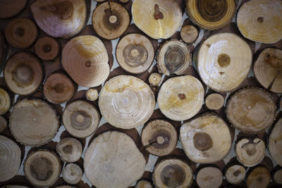 Wooden texture built from logs cuts. rows of sawn tree bitches. simple background. abstract image.