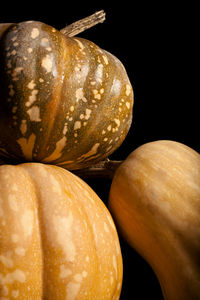 Close-up of pumpkin against black background