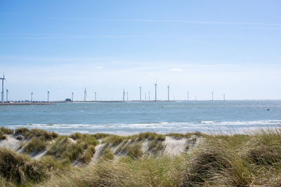 Scenic view of sea against clear sky