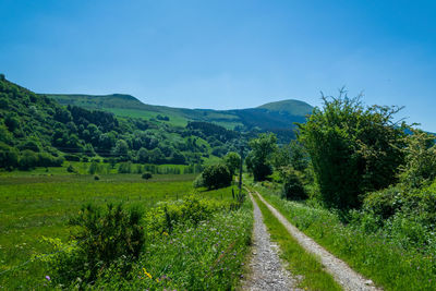 Scenic view of road amidst field against sky