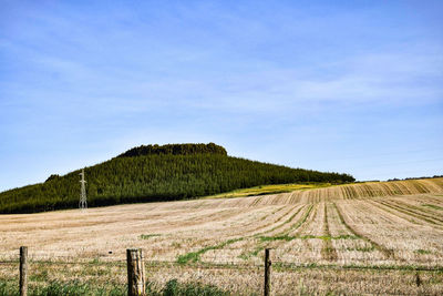 Scenic view of agricultural field against sky