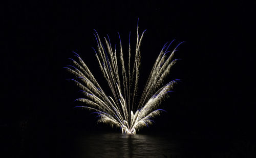 Low angle view of firework display against sky at night