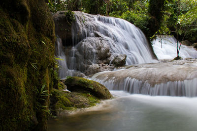 Scenic view of waterfall in forest