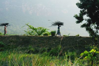 Bird flying over a field