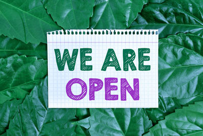 High angle view of information sign on green leaves