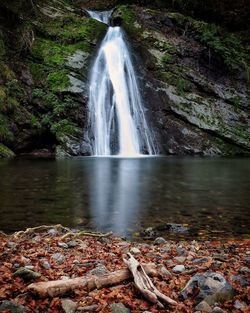 Scenic view of waterfall in forest during autumn