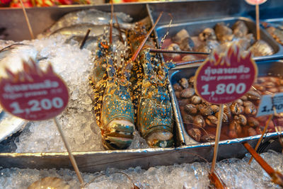 Close-up of food on barbecue grill