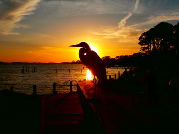 Silhouette heron perching on railing at beach against sky during sunset