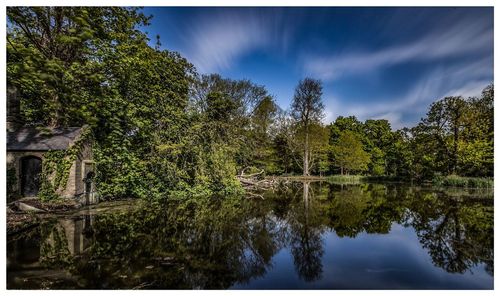 Reflection of trees in lake against sky